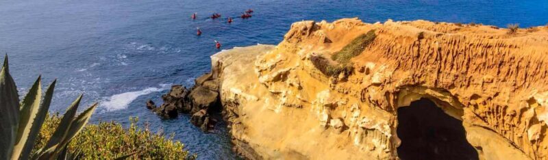 La Jolla: Full-Day Snorkel Gear Rental with Wetsuit Option - Real-World Insights from Reviews