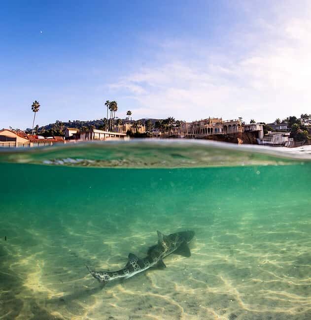 La Jolla: Full-Day Snorkel Gear Rental with Wetsuit Option - The Sum Up — Who Will Love This Experience?