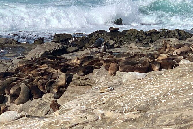 La Jolla Jig Scavenger Hunt - Key Points