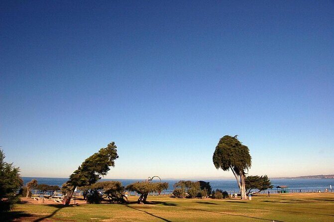 La Jolla Jig Scavenger Hunt - What Is the La Jolla Jig Scavenger Hunt?
