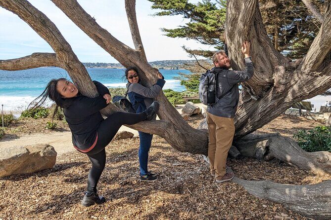 La Jolla Jig Scavenger Hunt - The Sum Up: Who Should Consider the La Jolla Jig Scavenger Hunt?