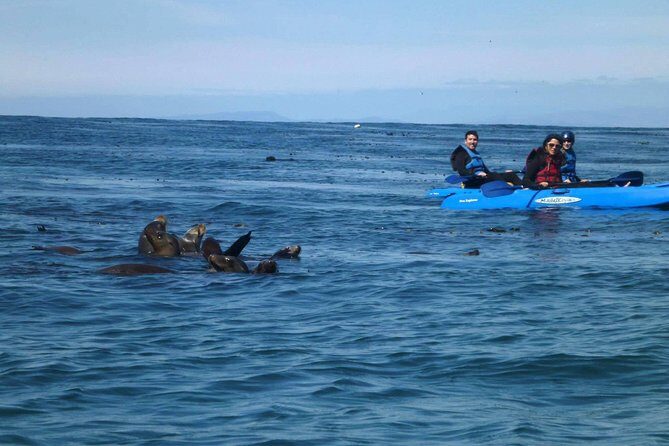 La Jolla Sea Caves Kayak Tour For Two (Tandem Kayak) - Who Should Consider This Tour?