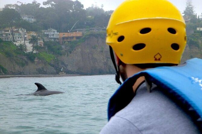 La Jolla Sea Caves Kayak Tour (Single Kayak) - Meeting Point and Logistics