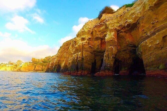 La Jolla Sea Caves Kayak Tour (Single Kayak) - Authentic Experiences and Real Reviews