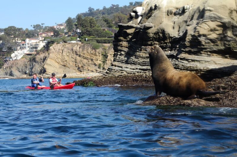 La Jolla: Sunset Kayak Tour of the 7 Caves - Key Points