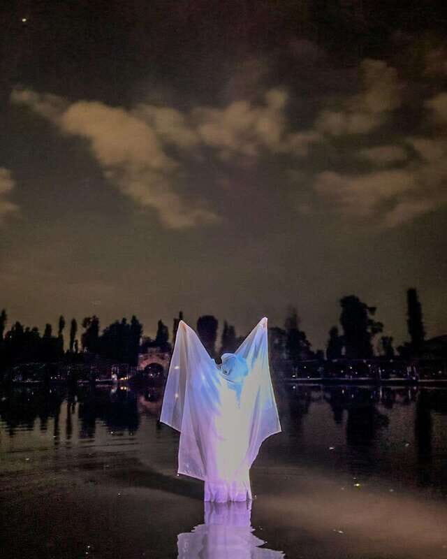 La Llorona, Live Show in the Canals of Xochimilco. - The Experience in Detail: Breaking Down the Itinerary