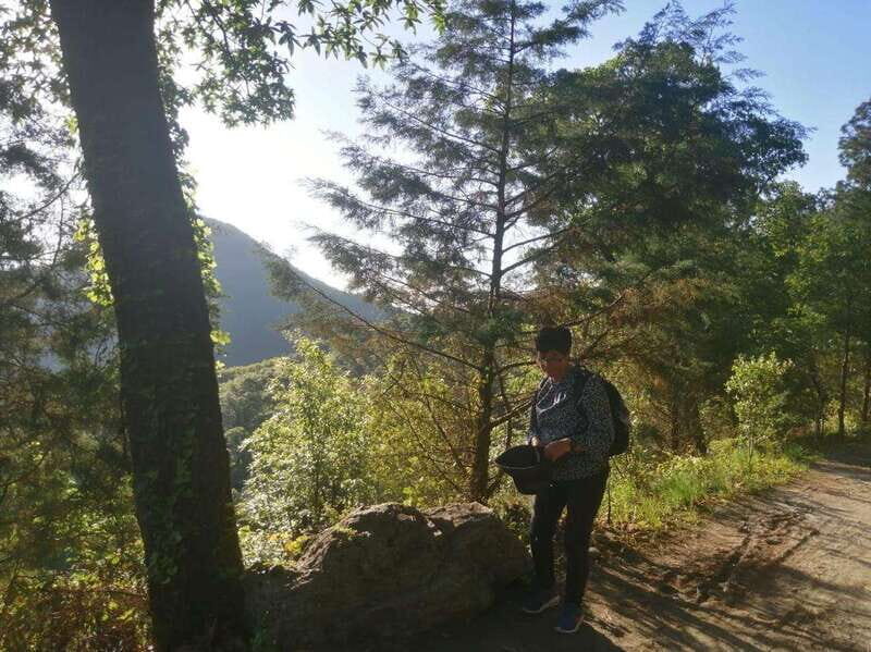 La mejor excursión a Chipinque + Guia + Traslado + Tickets - Final Thoughts: Who Will Love This Tour?