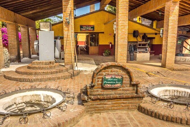 La Noria Village and Los Osuna Tequila Experience. - Who will love this tour?
