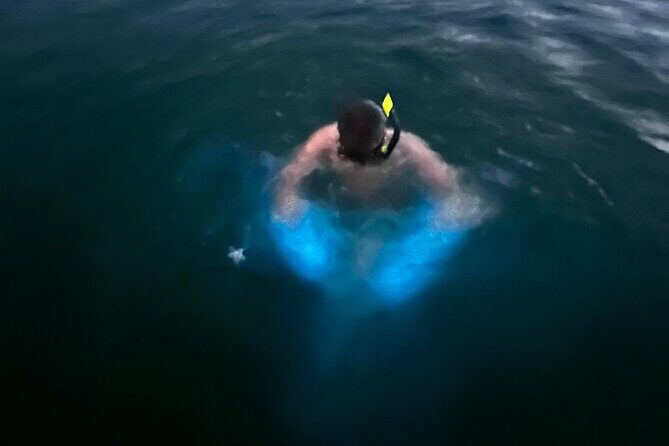 La Parguera Bio Bay Boat Ride and Swimming w/ San Juan Transport - The Value of the Tour