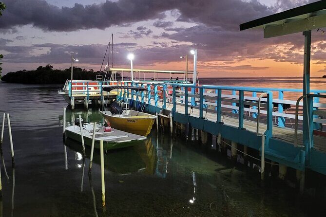 La Parguera Bio Bay Boat Ride and Swimming w/ San Juan Transport - The Sum Up