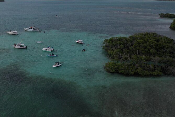 La Parguera Glowing Bioluminescent Bay Boat Tour from San Juan - An In-Depth Look at the Tour Experience
