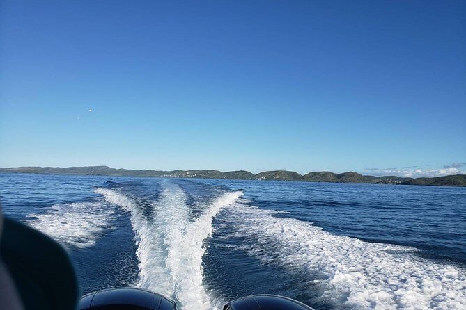 La Parguera Private Boat Charter - Why This Tour Offers Great Value