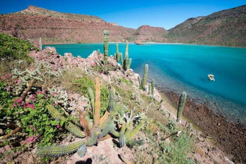 La Paz: 3-Beach Snorkeling Tour with Lunch and Drinks - The Experience: Authentic and Scenic