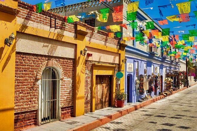 La Paz and Todos Santos Day Trip with Lunch - Who Should Consider This Tour?