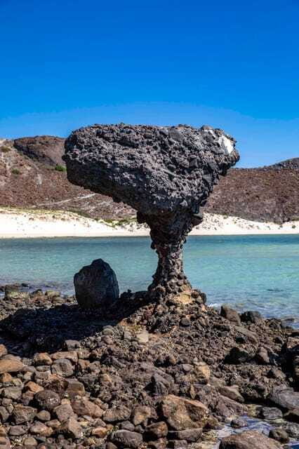 La Paz: Balandra or Tecolote amazing Beach Day Tour - FAQ