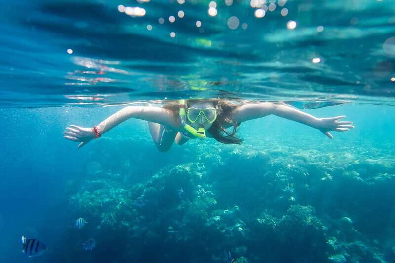 La Paz: Coral Farm Snorkel Tour - Key Points