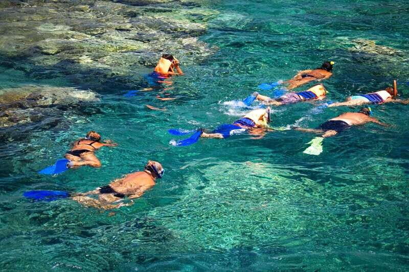 La Paz: Coral Farm Snorkel Tour - Final Thoughts