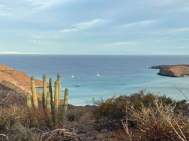 La Paz: Deluxe Yacht Adventure with Paddleboarding - Key Points