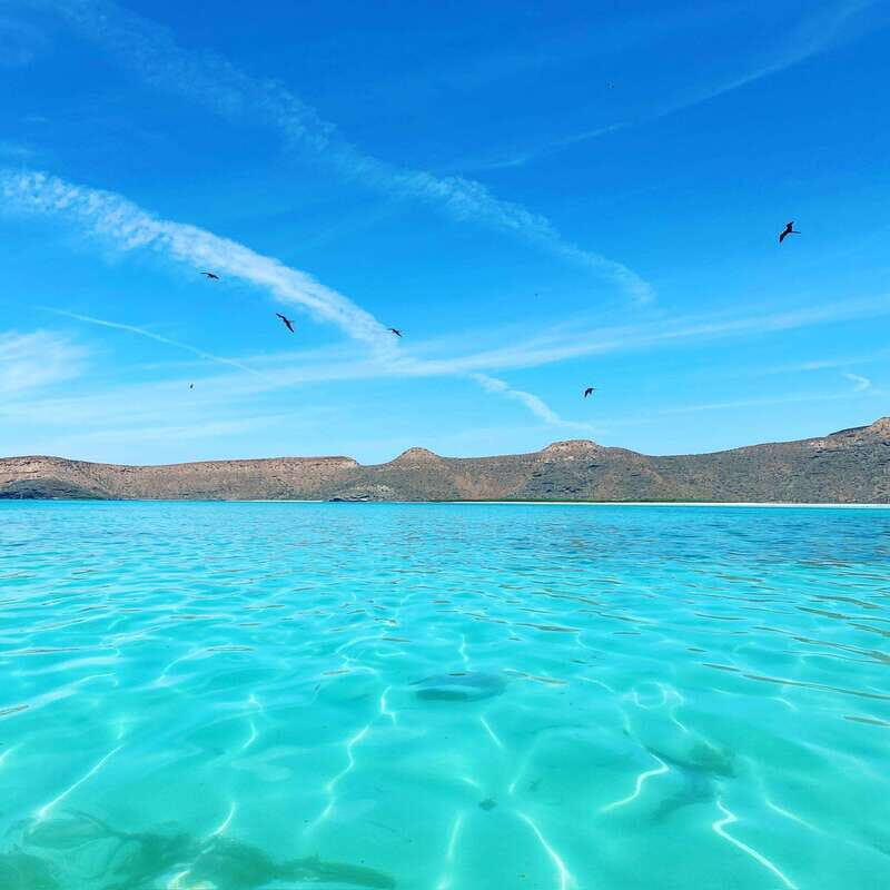 La Paz: Deluxe Yacht Adventure with Paddleboarding - What Is Included and What Isn’t