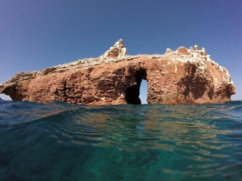 La Paz: Espíritu Santo Island Snorkeling Tour with Lunch - The Itinerary: What to Expect