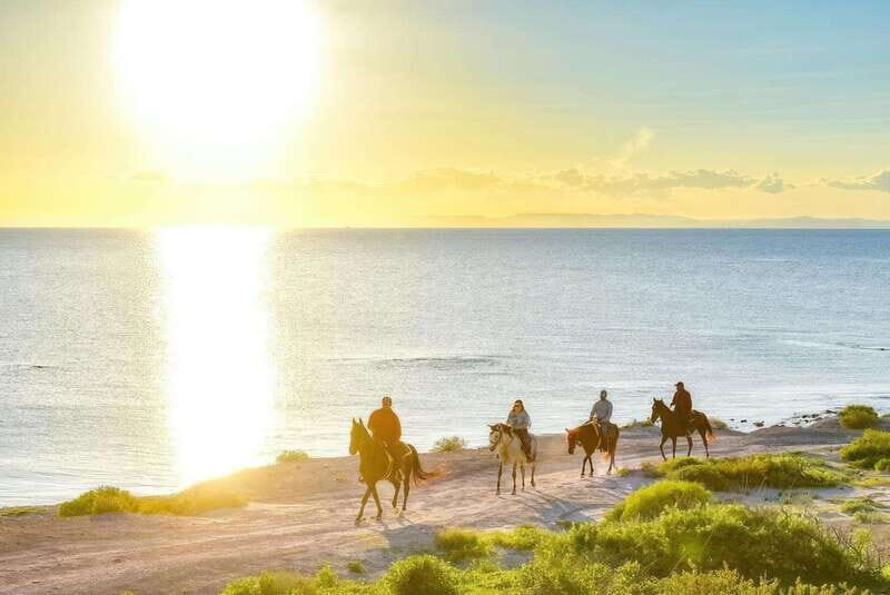 La Paz: Horseback Riding - Key Points