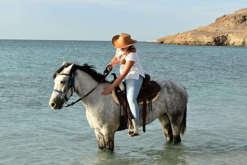 La Paz: Horseback Riding - FAQ