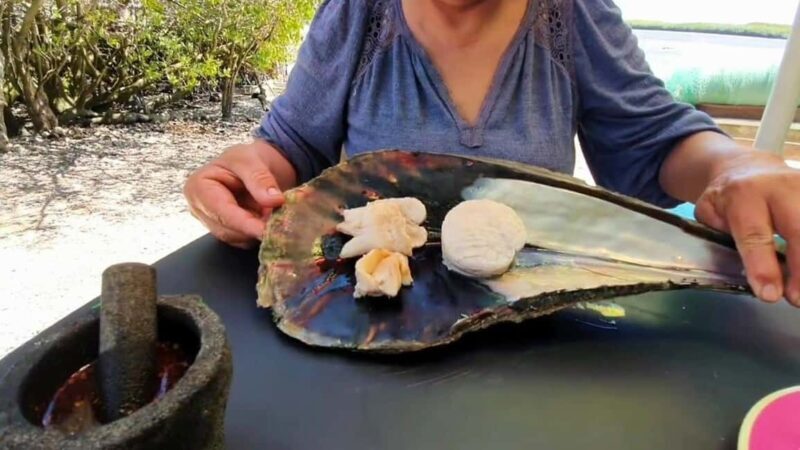 La Paz: Mangrove Adventure, Snorkeling and Shellfish Tasting - Shellfish Tasting in Punta Mogote