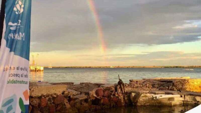 La Paz: Mangrove Adventure, Snorkeling and Shellfish Tasting - Learning About Sustainability and Mangrove Restoration