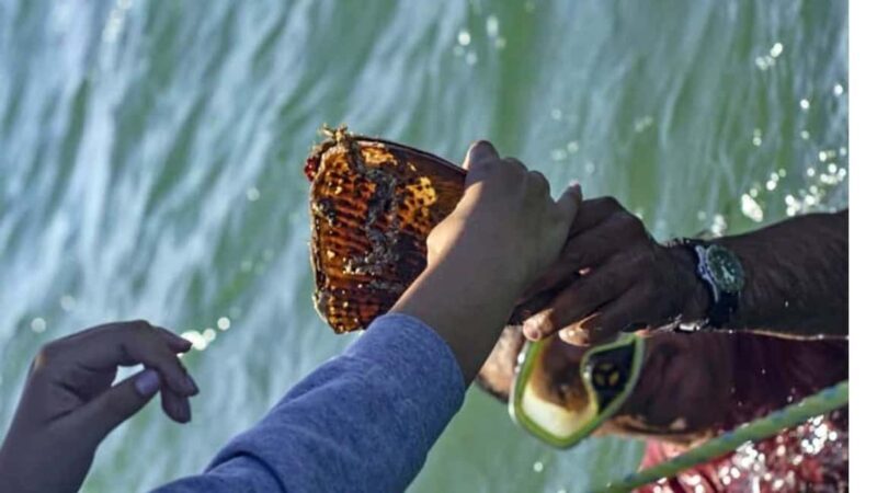 La Paz: Mangrove Adventure, Snorkeling and Shellfish Tasting - Practical Details and Considerations