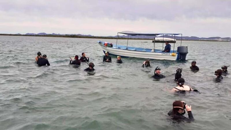 La Paz: Mangrove Adventure, Snorkeling and Shellfish Tasting - Frequently Asked Questions