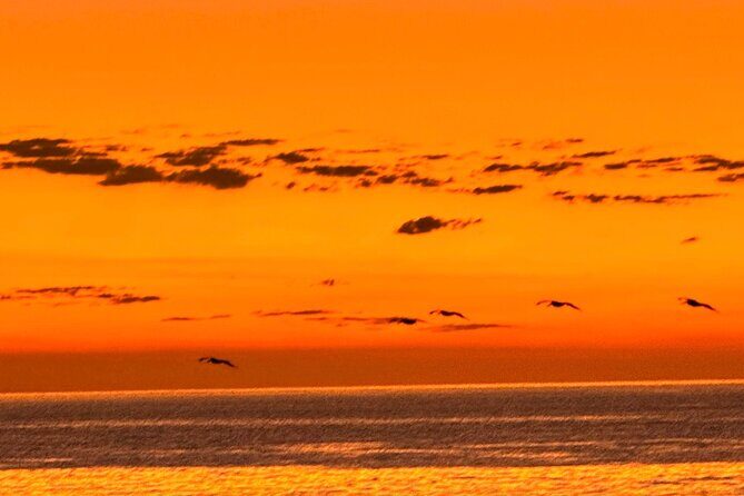 La Paz Mexico Sunset Cruise with Local Guides : small group - An In-Depth Look at the Sunset Cruise Experience