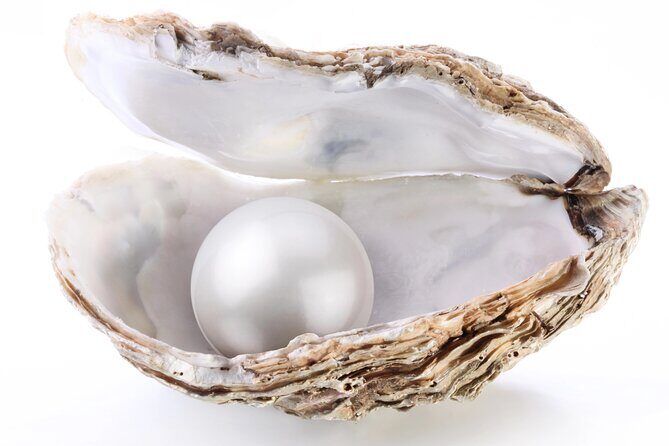 La Paz: Pearl Farm Experience and shop - Additional Practicalities
