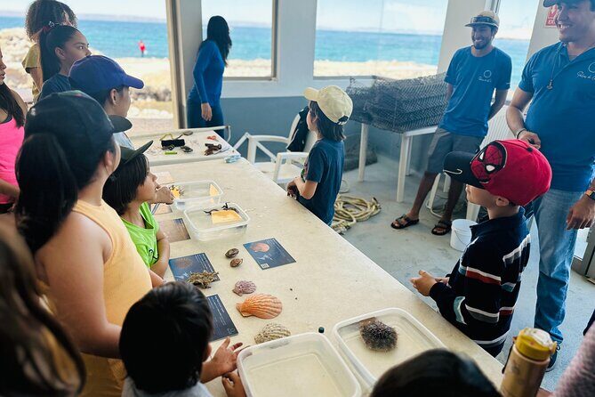 La Paz: Pearl Farm Experience and shop - FAQs