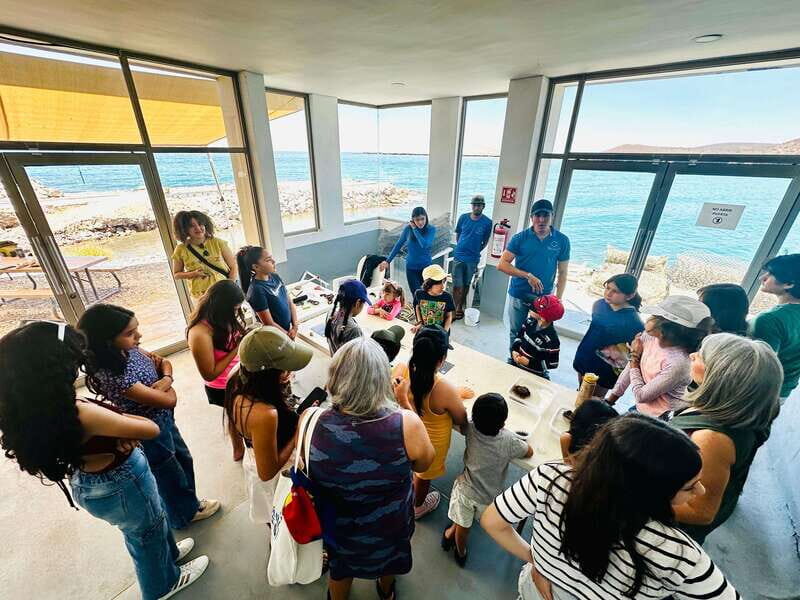 La Paz: Pearl Farm Experience and shop - Introduction