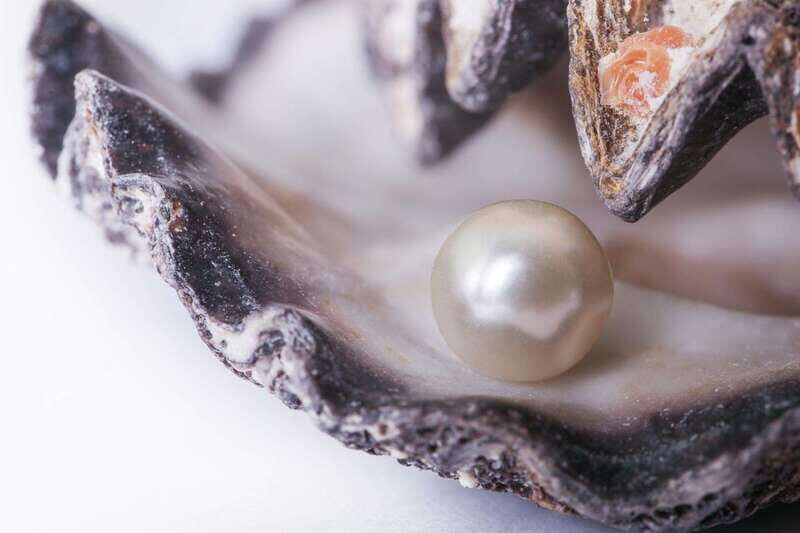 La Paz: Pearl Farm Experience and shop - The Itinerary in Detail