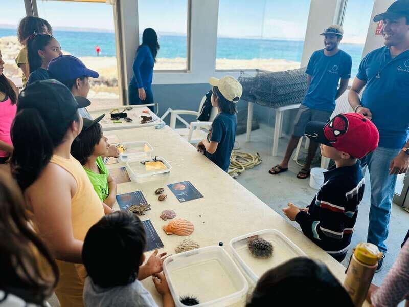 La Paz: Pearl Farm Experience and shop - The Value of the Experience