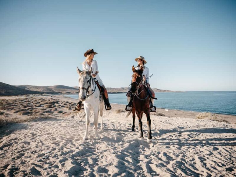 La Paz: Scenic Beach Horseback Ride with Snacks - Discovering the Experience