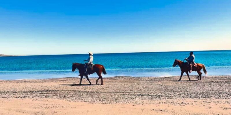 La Paz: Scenic Beach Horseback Ride with Snacks - Who Should Consider This Tour?