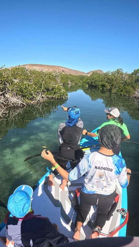 La Paz: Sea Lions & Mega-Paddleboard Tour in Balandra - The Sum Up