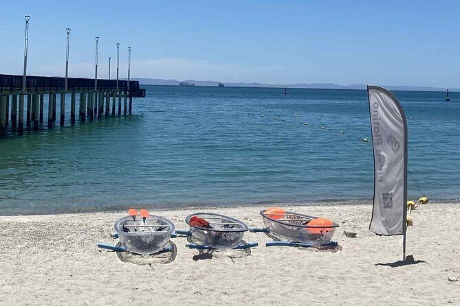 La Paz Transparent Kayaks & Paddle Boards - What Travelers Say
