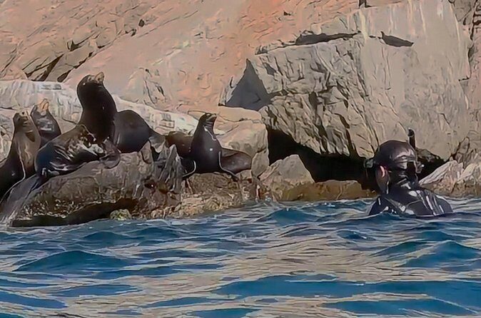 La Paz Wildlife Ocean Safari & Beach Club Leisure in La Ventana - Who Should Consider This Tour?