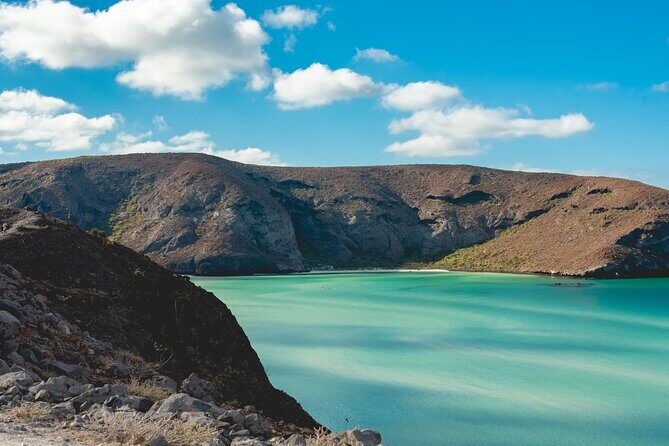 La Paz World class Snorkeling in Balandras Hidden Beaches - Who Will Love This Tour?