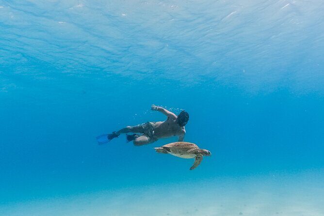 La Paz World class Snorkeling in Balandras Hidden Beaches - The Sum Up: A Well-Rounded Baja Adventure