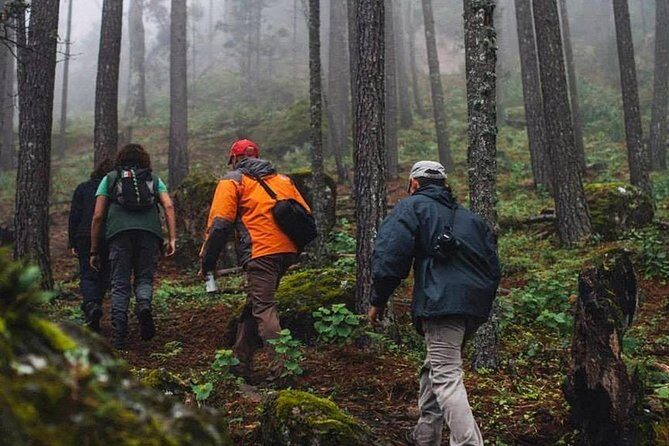 La Pirámide Park // WALK AND DISCOVER THE PARK - Flora, Fauna, and Conservation Efforts