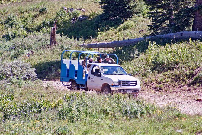La Plata Mountains - Half Day Tour - Practical Details: What Travelers Should Know