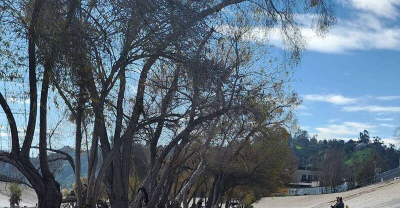 LA River Eco Tour and Secret Stair Hike - Authenticity, Views, and Local Flavor