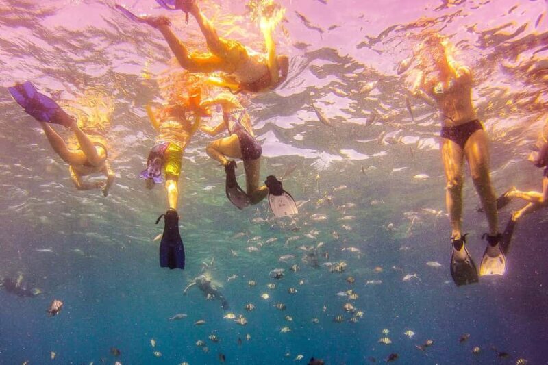 La Romana: Catalina Island Full-Day Snorkeling Tour - A Deep Dive into the Experience