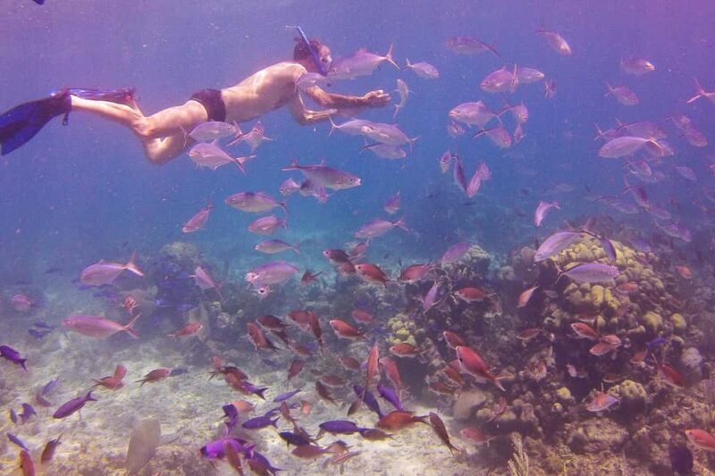 La Romana: Catalina Island Full-Day Snorkeling Tour - The Itinerary: A Step-by-Step Breakdown