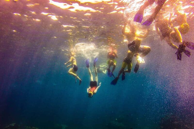 La Romana: Catalina Island Full-Day Snorkeling Tour - Why This Tour Is Worth Considering