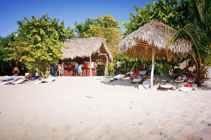 La Romana: Catalina Island Full-Day Snorkeling Tour - Who Will Love This Experience?